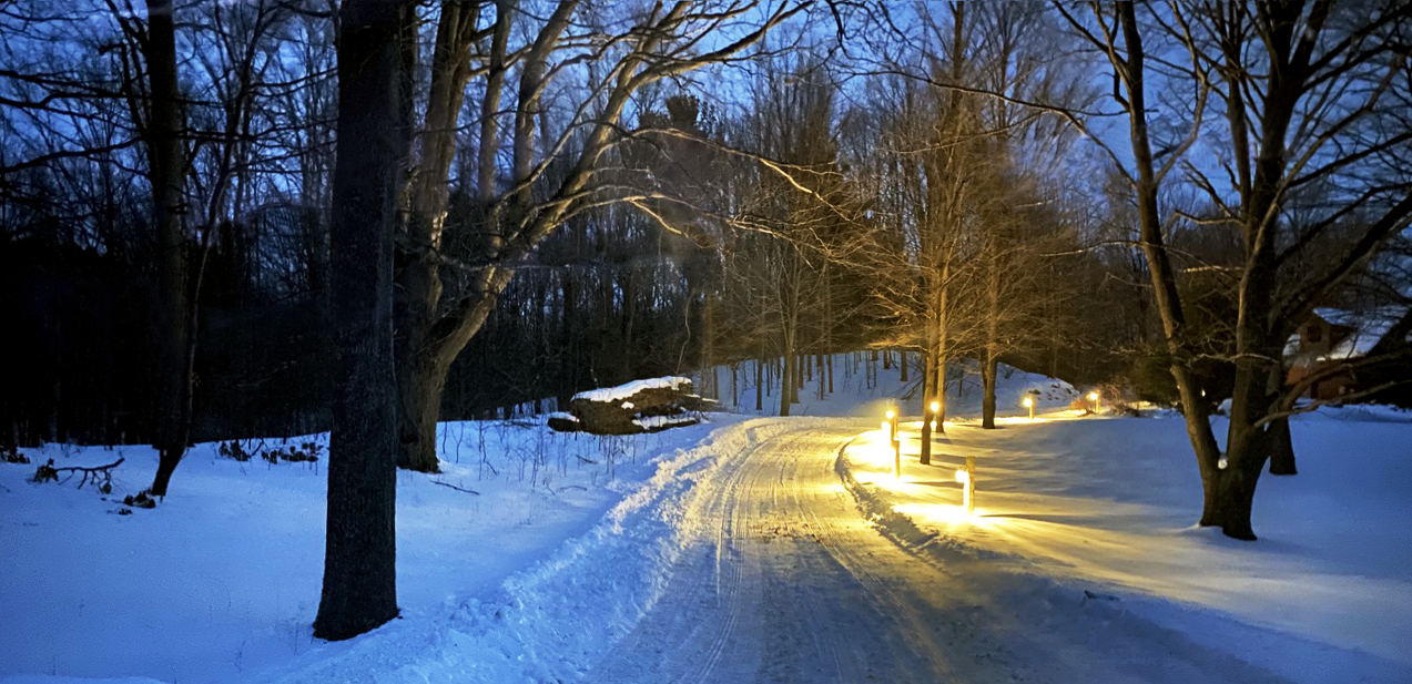 DrivewayWinterNight DrivewayWinterNight